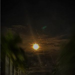 Meet your Posher, Kristy